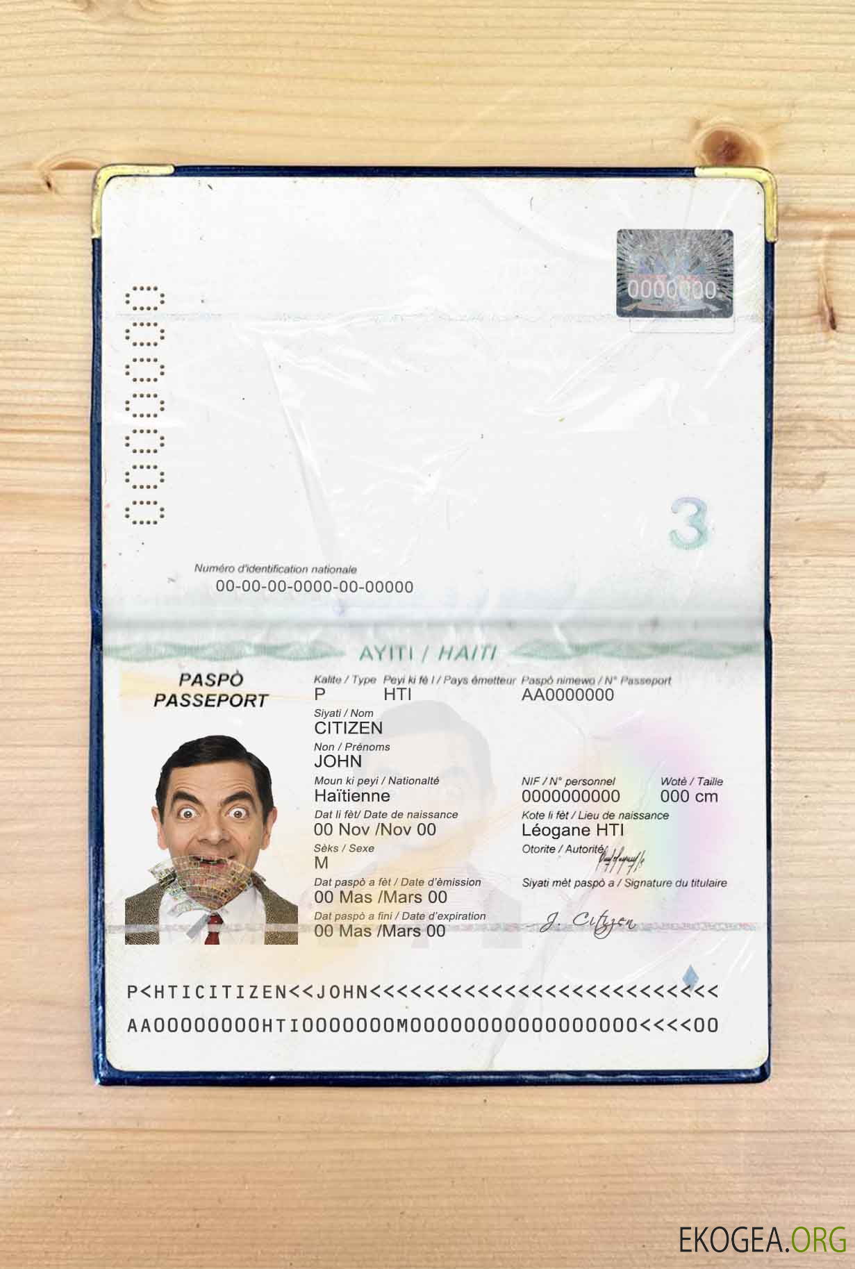 Look photo du passeport d'Haïti